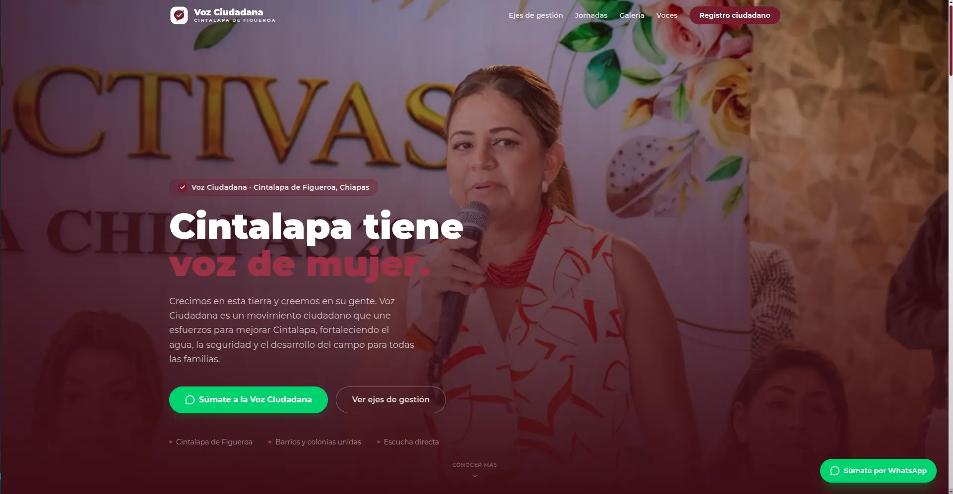 Voz Ciudadana project preview